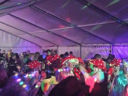 INSELKARNEVAL 2026 (ffburg)